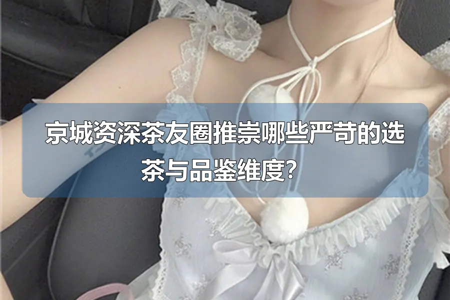 京城资深茶友圈推崇哪些严苛的选茶与品鉴维度?